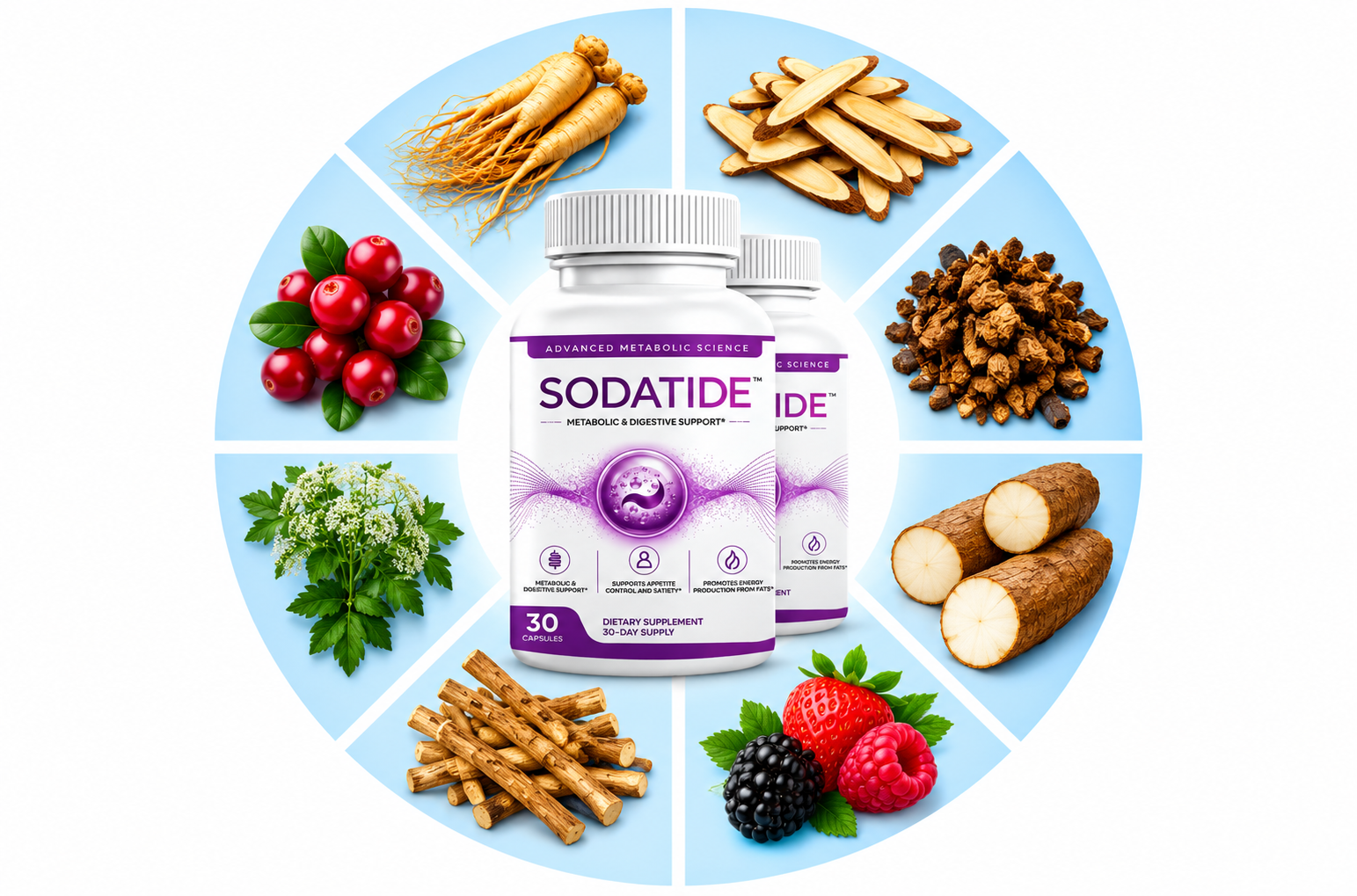 SodaTide Ingredients - Original Supplement Bottle Surrounded by Botanical Extracts